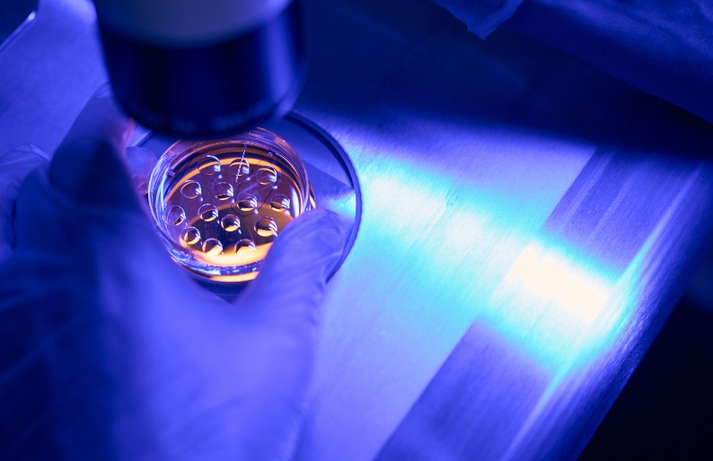 Alternativní metody testování - jak fungují mikroorganismy?