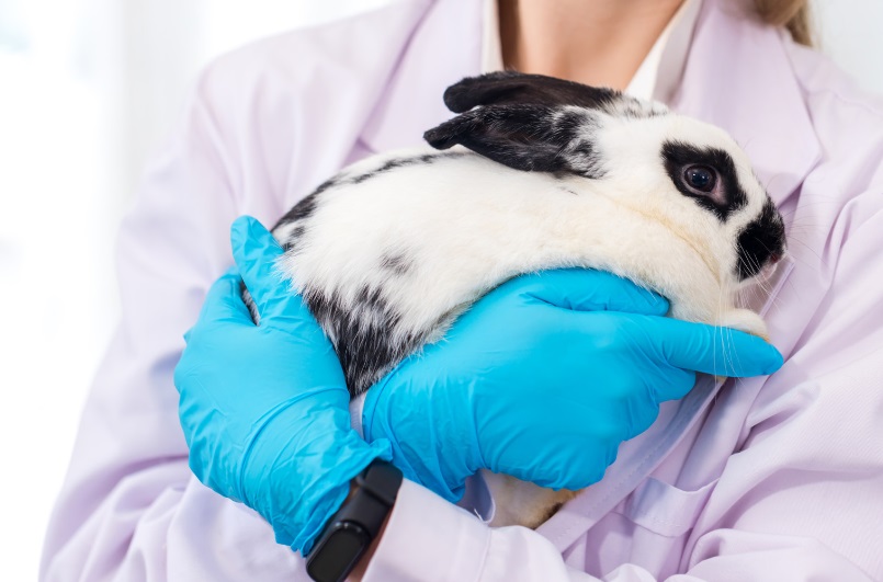 MatTek: Přední společnost v oblasti alternativních metod testování