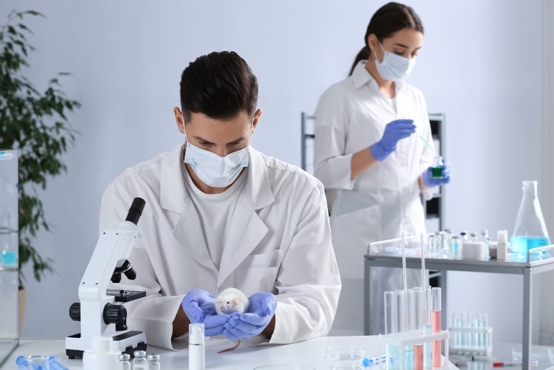 Alternativní metody testování - jak fungují počítačové systémy?