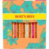 burts bees just picked lip balm set 1 set 2060578 en