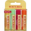 burts bees freshly picked lip balm set 2224720 cs