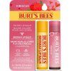 Tinted Lip & Beeswax Set balzámů na rty 2 ks Burt´s Bees