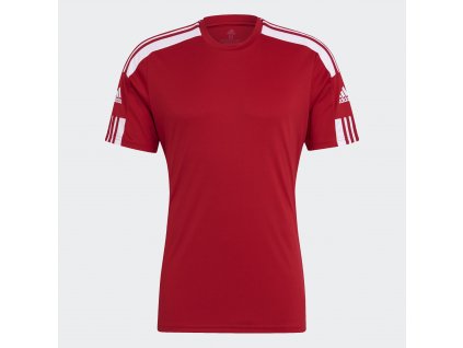 Pánský dres adidas Squadra 21