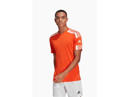 Pánský dres adidas Squadra 21