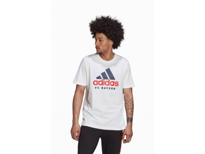 Pánské triko adidas FC Bayern Mnichov DNA Tee