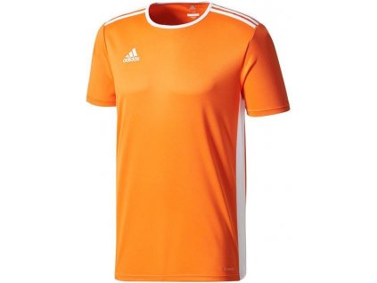 Dres adidas ENTRADA 18 JSY