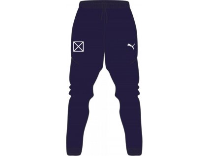 Kalhoty Puma teamRISE Poly Trg Pants Jr