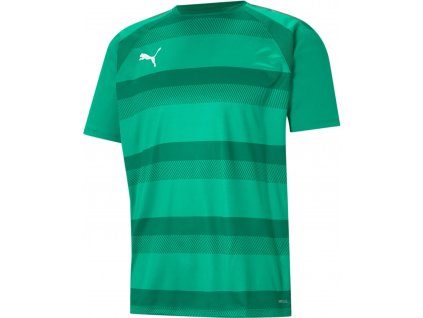 Dres Puma teamVISION Jersey