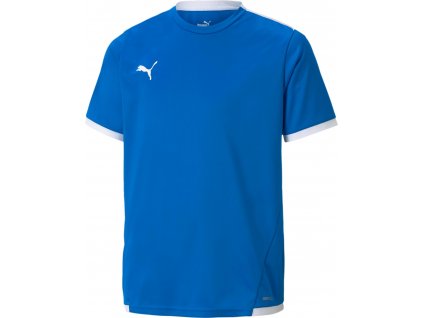 Dres Puma teamLIGA Jersey Jr