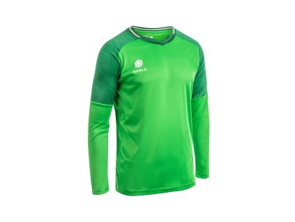 Hráčský dres NIDELO Player shirt L/S Nantes zelená