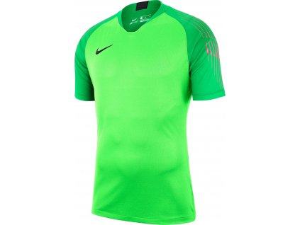 Brankářský dres Nike Gardien