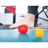 Masážní míček ježek Kine-MAX Pro-Hedgehog Massage Ball 9cm