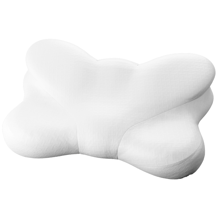 buterfly_1