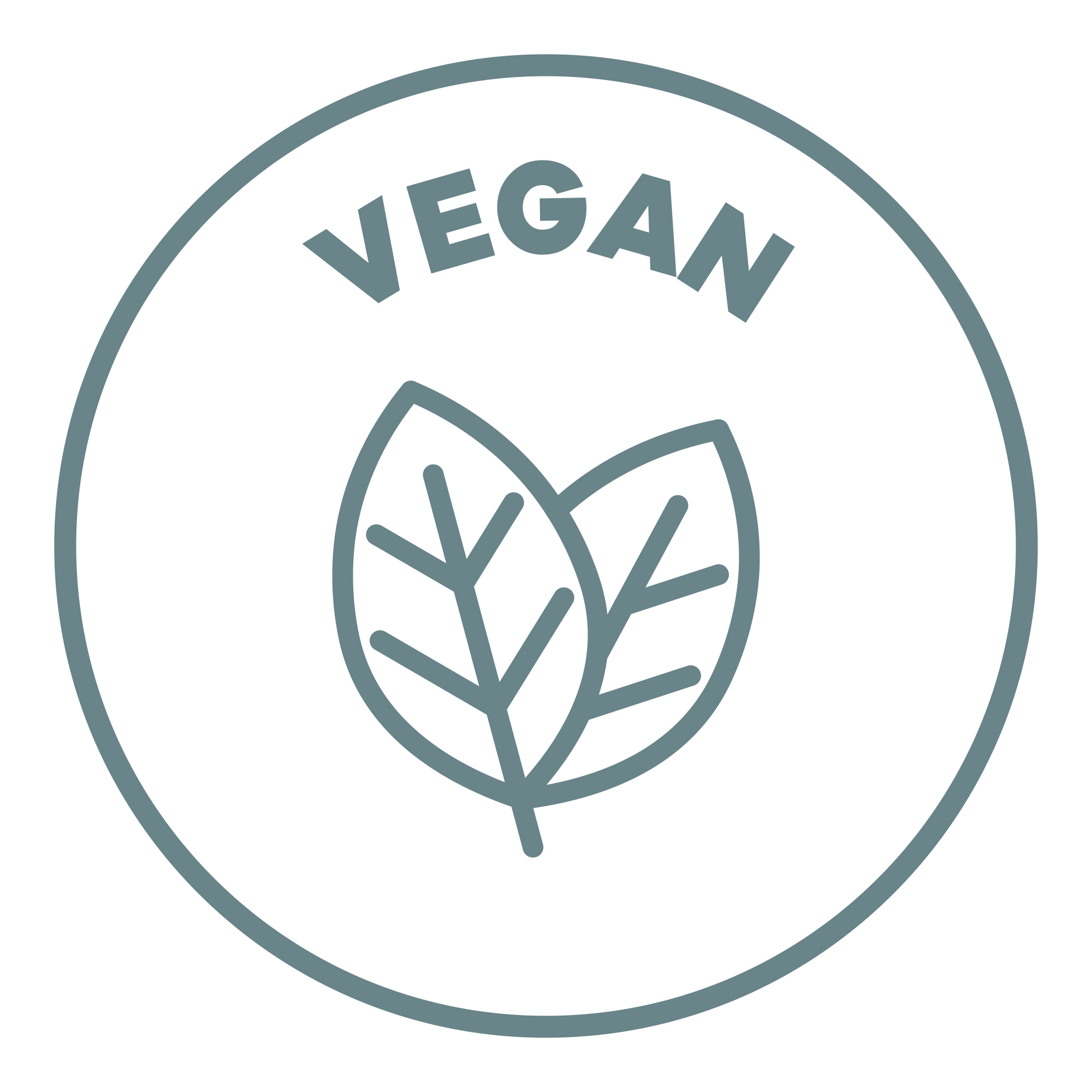 vegan.0