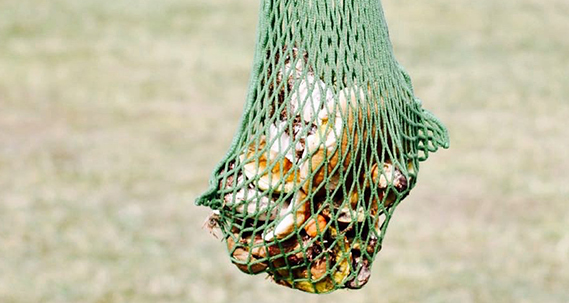 Houbařská sezóna začíná