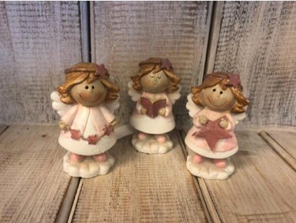 Růžový andílek - 3 druhy