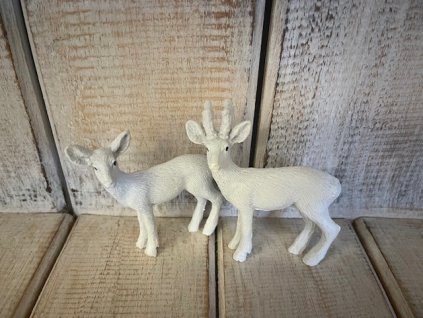 Pár srnec+srnka