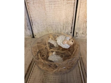 Ovečka 4ks v krabičce na seně