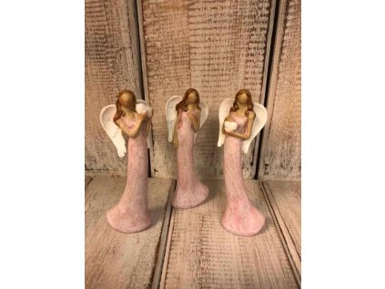 Růžová andělka - 3 druhy