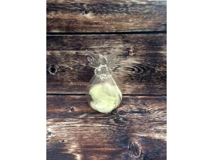 Anděl z tenkého skla