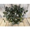 Věnec eukaliptus lesklý