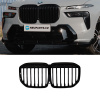Ledvinky bmw x7 g07