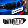 Sportovní ledvinky - mřížky na BMW 5 - G30/G31 preLCI - trikolora