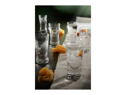 G 27 Fernet 25 ml 1000x666