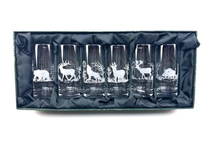 Broušená sada Jagerglass Saga 300 ml