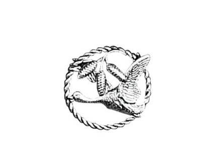 odznak arture kachna s siskami v krouzku 2631
