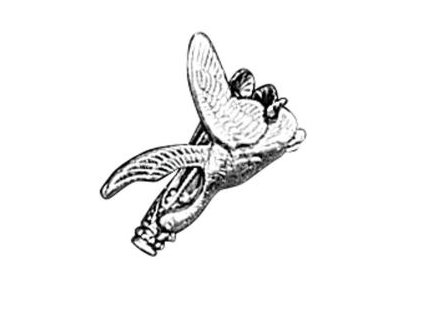 odznak arture toulecek s kachnou 2641