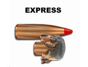 t geco express