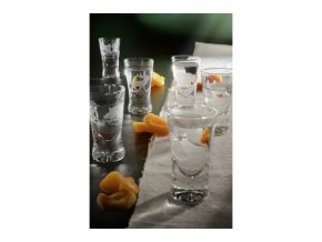 G 27 Fernet 25 ml 1000x666
