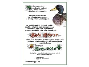 023 Kral honu kacena scaled