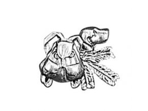 odznak arture pes s ruksakem 2636