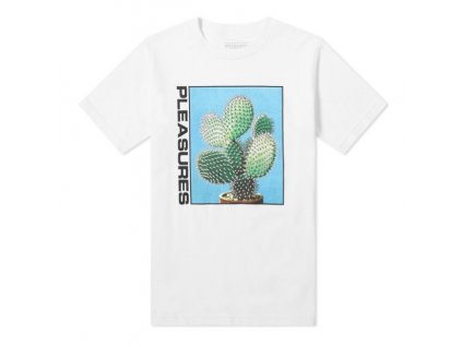 AE29B784 B7F8 4E64 9DAD B60A3C752759