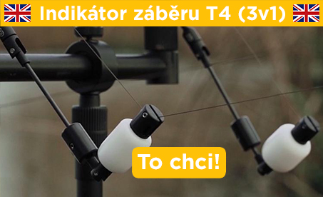 T4