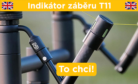 T11