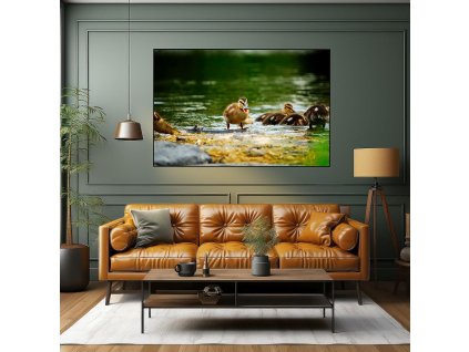 living room 9061302 1920 Kachny 01 1024 V2