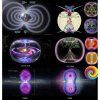 prolifecube prolifecube basic (3)