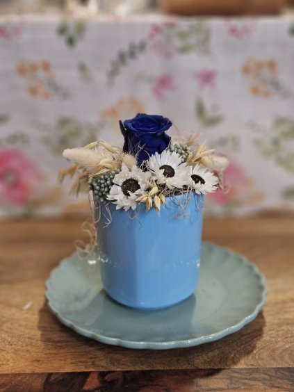 Stabilizovaná modrá ruža