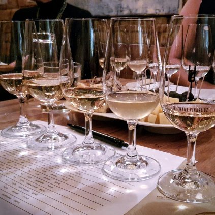 Řízená degustace - 15.3.2023 - vstupenka * Vyzrálá a plná vína