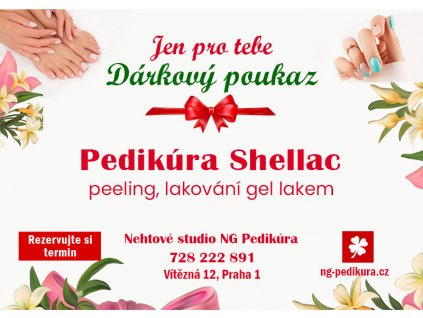 darkovy poukaz pedikura shellac