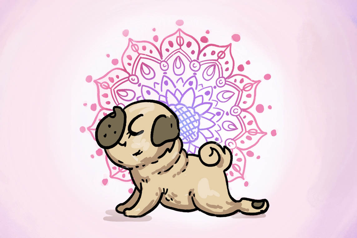 Tapety JÓGA MOPS ke stažení zdarma