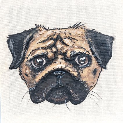 Mops - reliéfní malba