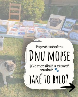 Sobotní den mopse pod taktovkou Mops klubu ČR přinesl krásné zážitky, plno spokojených zákazníků lomeno páníčků 😍 A také...