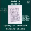 Radek N Session: Zpívající obdélník