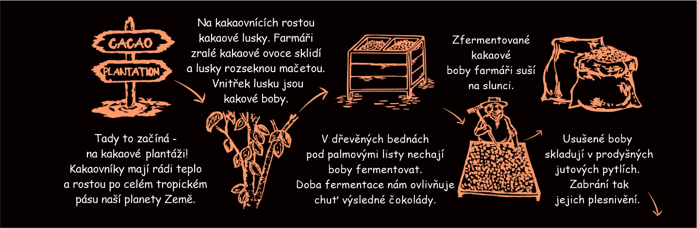 postup výroby BTB - plantáž