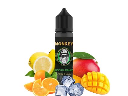 monkey tropical monkey