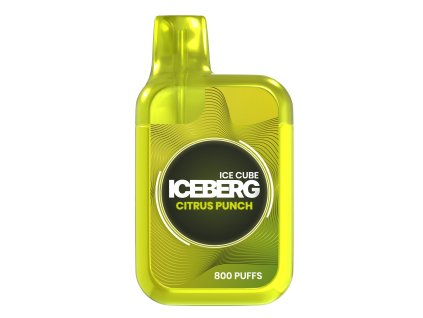 4648 iceberg citrus punch